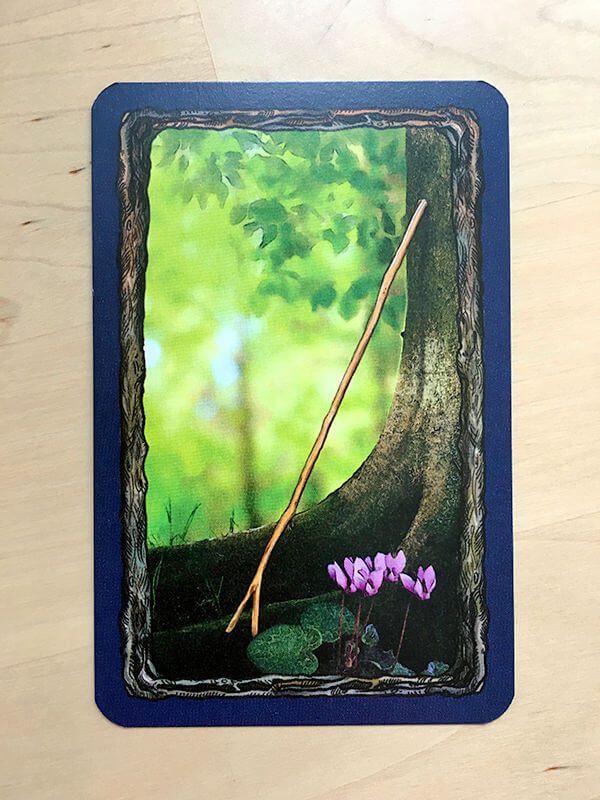 Reyndeer Games Board Game Review Fungi / Morels