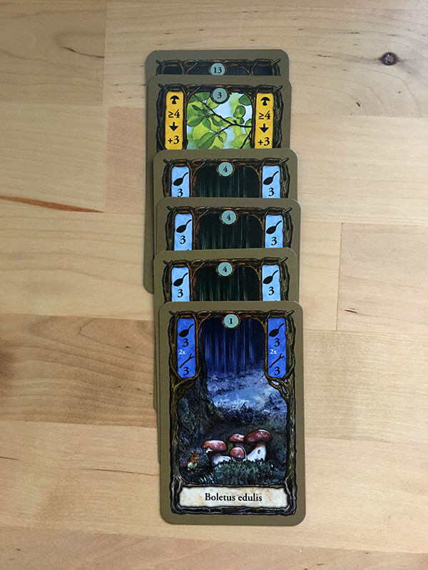 Reyndeer Games Board Game Review Fungi / Morels