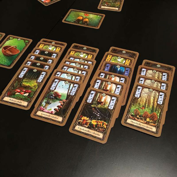 Reyndeer Games Board Game Review Fungi / Morels