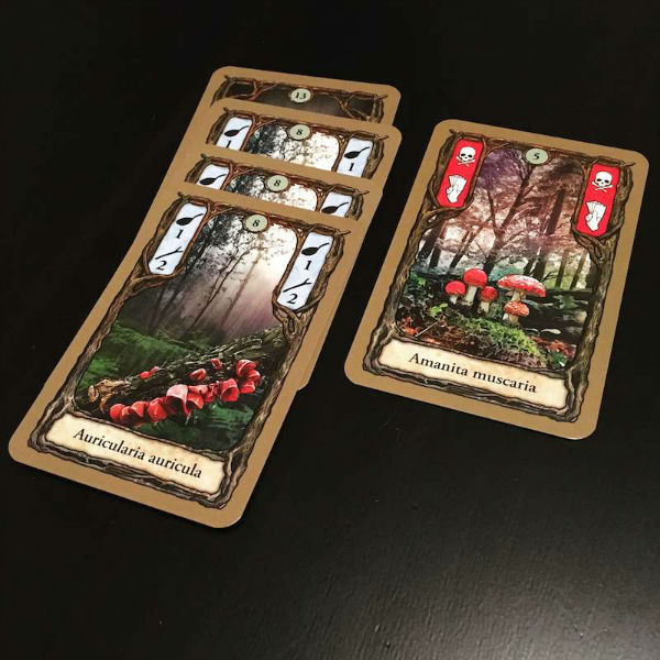 Reyndeer Games Board Game Review Fungi / Morels