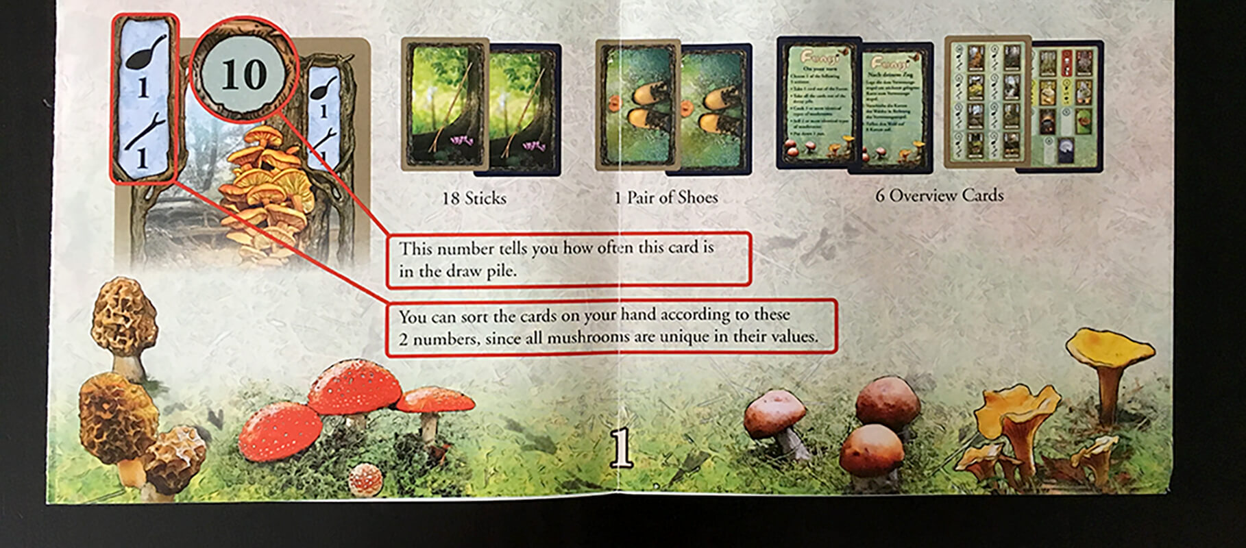 Morels Board Game How To Play At Sebastian Belbin Blog